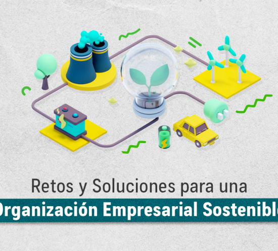 Retos y soluciones para una organización empresarial sostenible