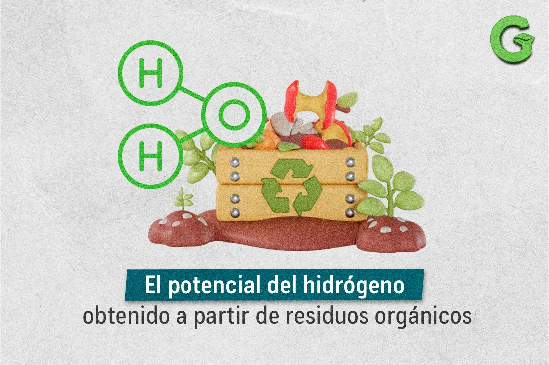 El potencial del hidrógeno obtenido a partir de residuos orgánicos