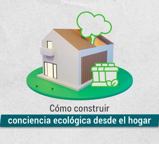 Cómo construir conciencia ecológica desde el hogar
