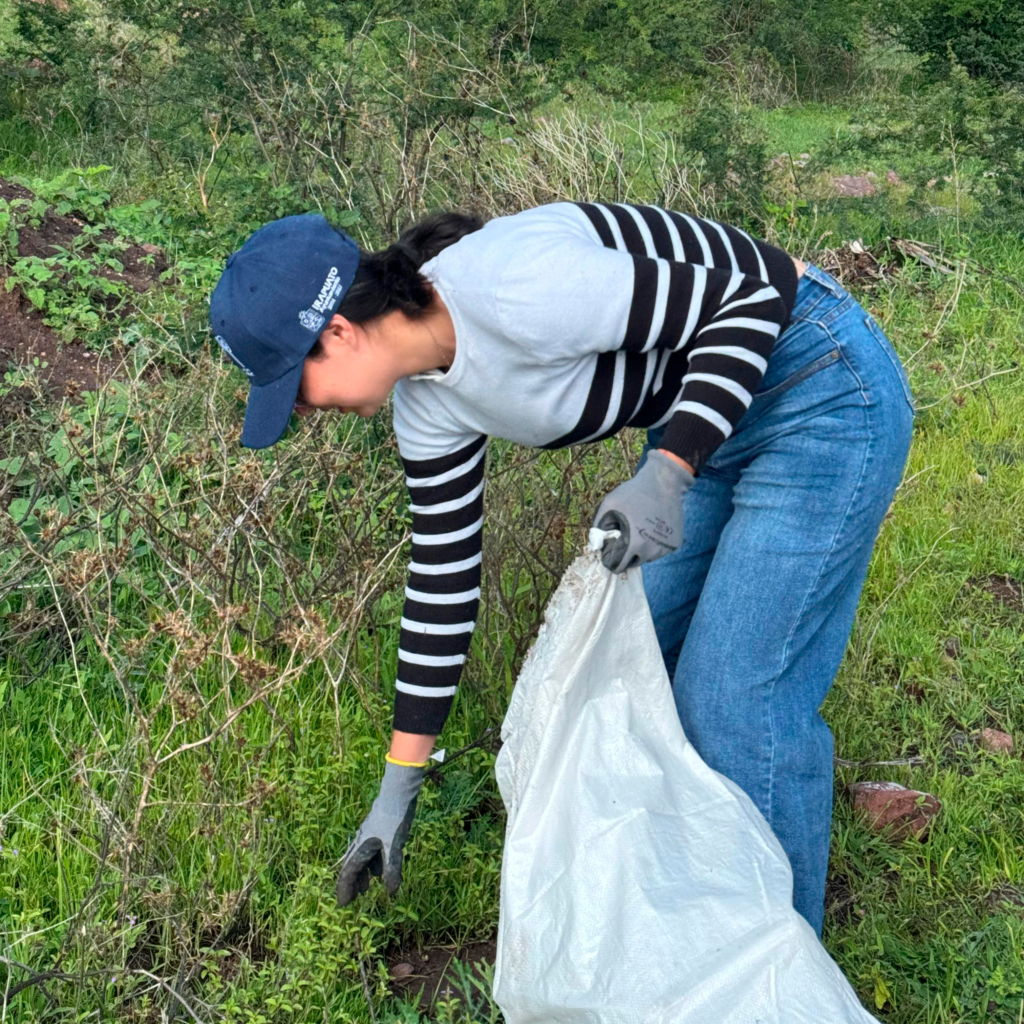 Voluntariado Ambiental 4