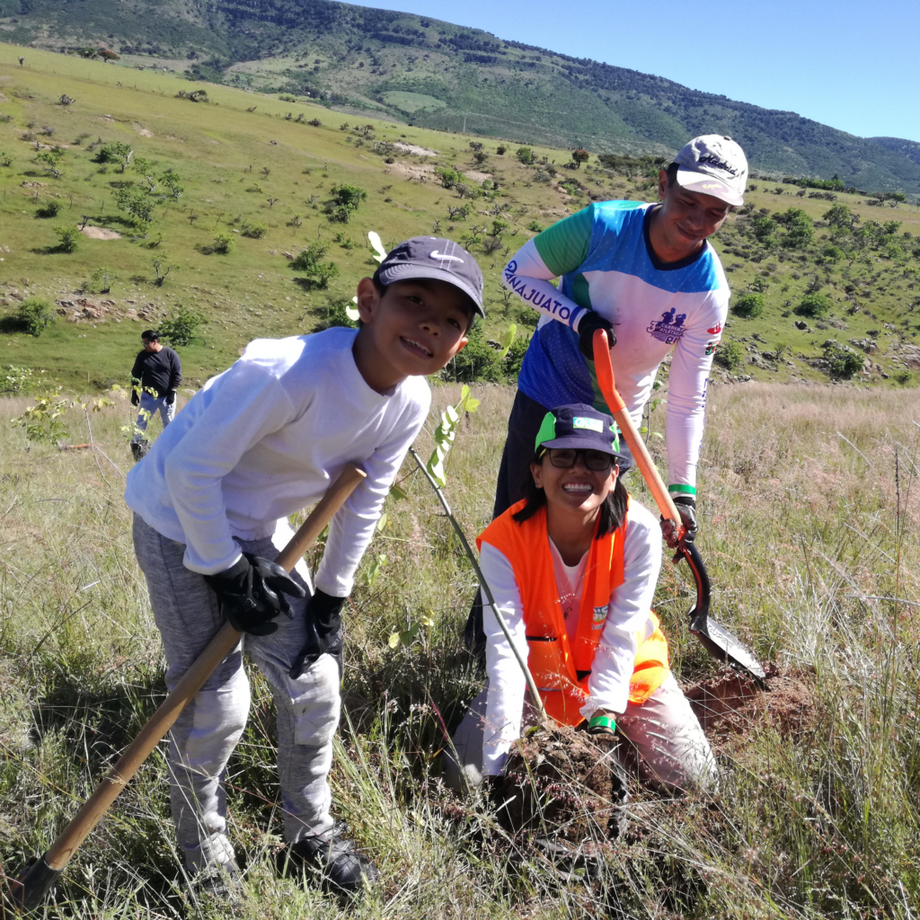 Voluntariado Ambiental 2